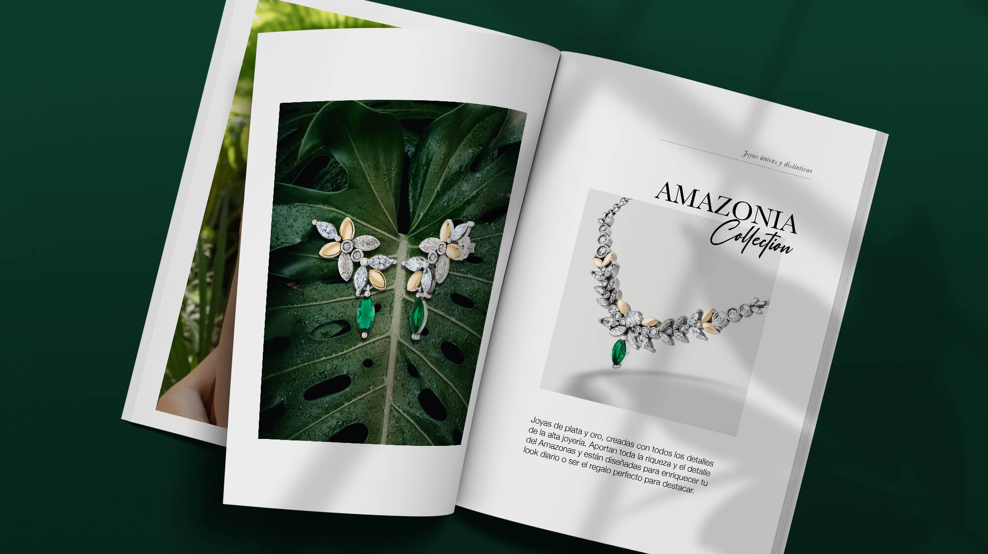 Utilice para ver más