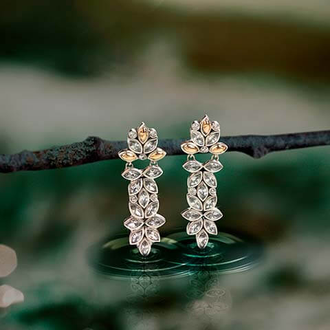 Utilize para ver mais