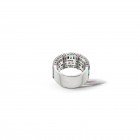 Anel Luís Carvalho IV Anel Luís Carvalho IV