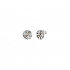 Pendientes Toscana VII