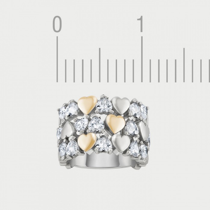 Paris VII Ring